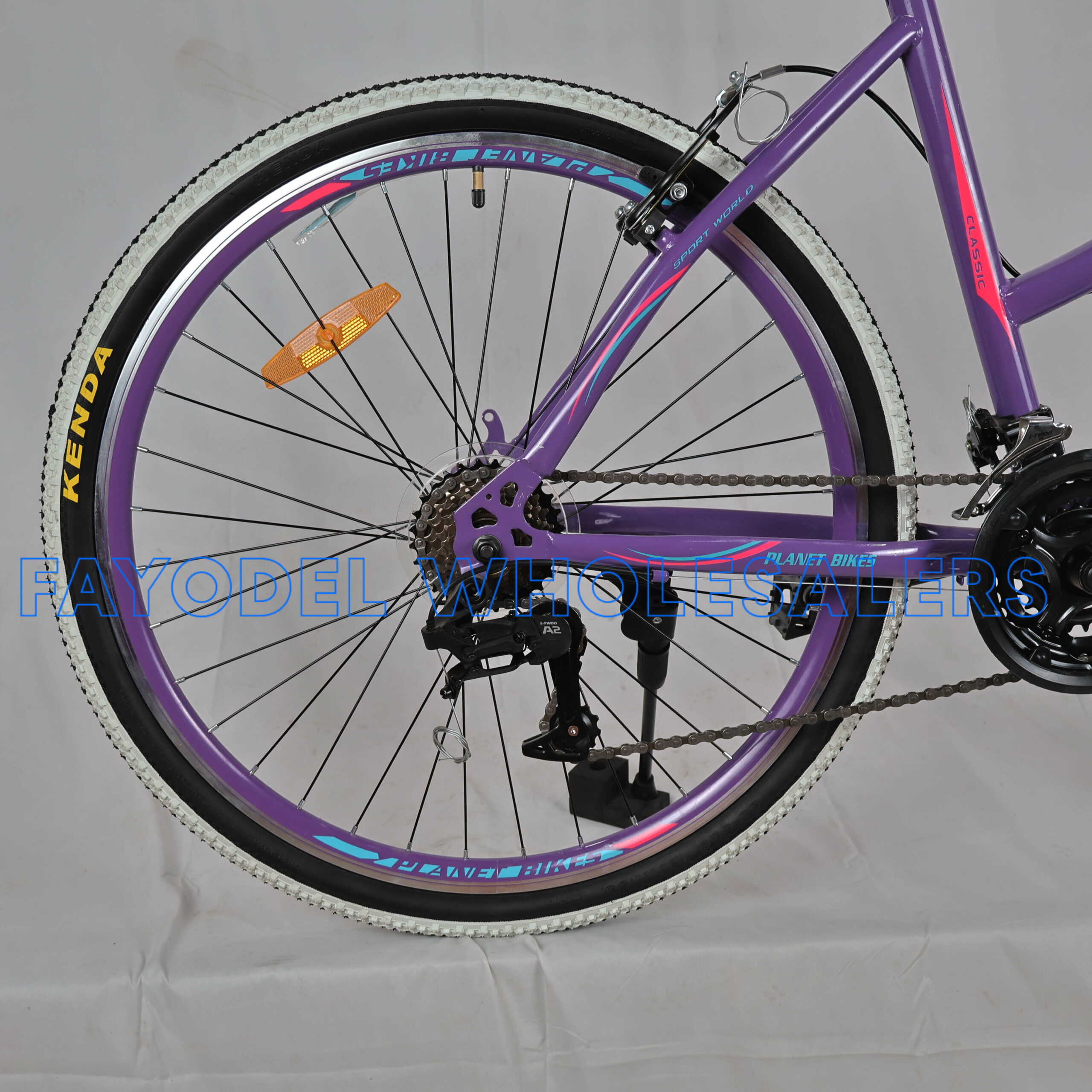 Planet Daisy detail 1