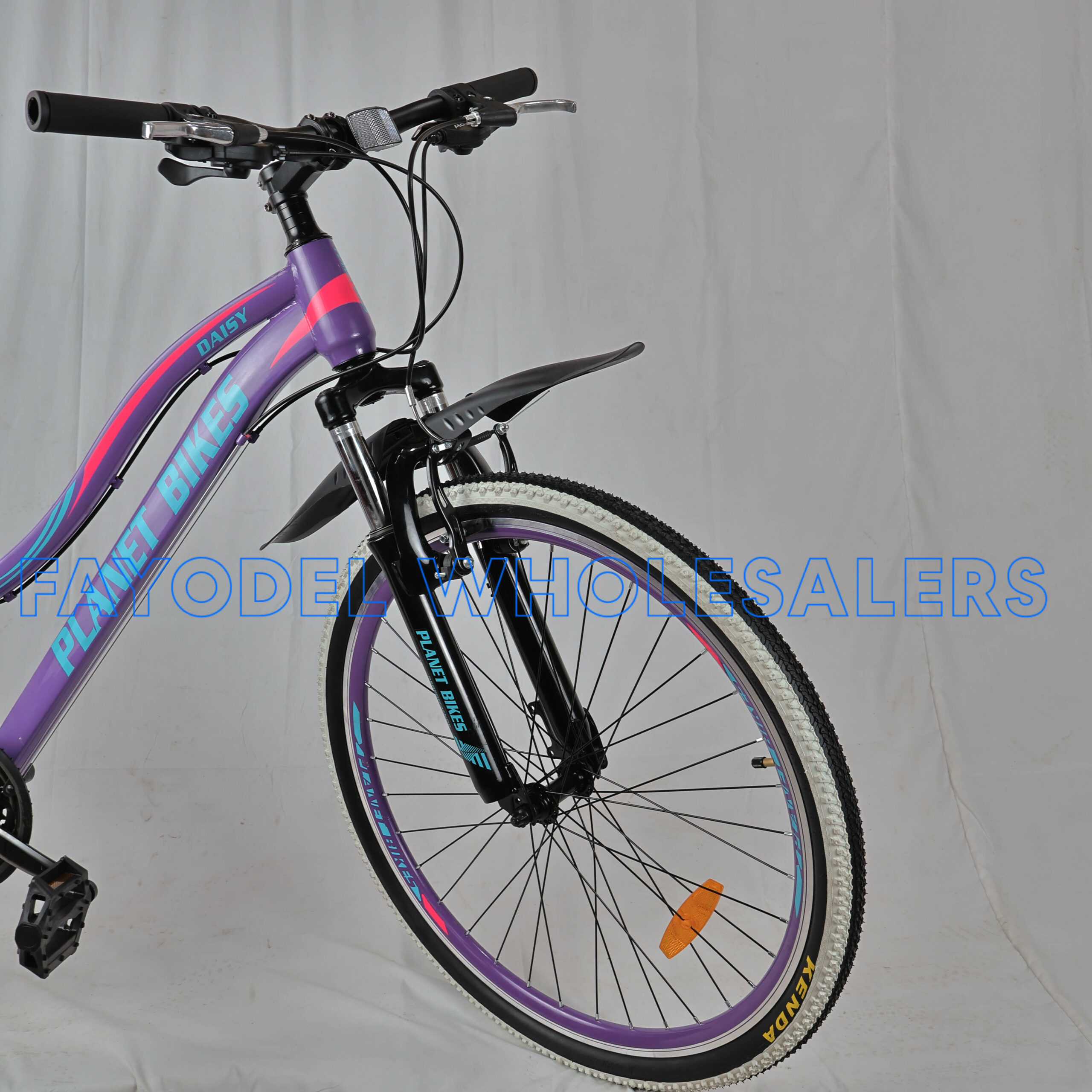 Planet Daisy detail 2