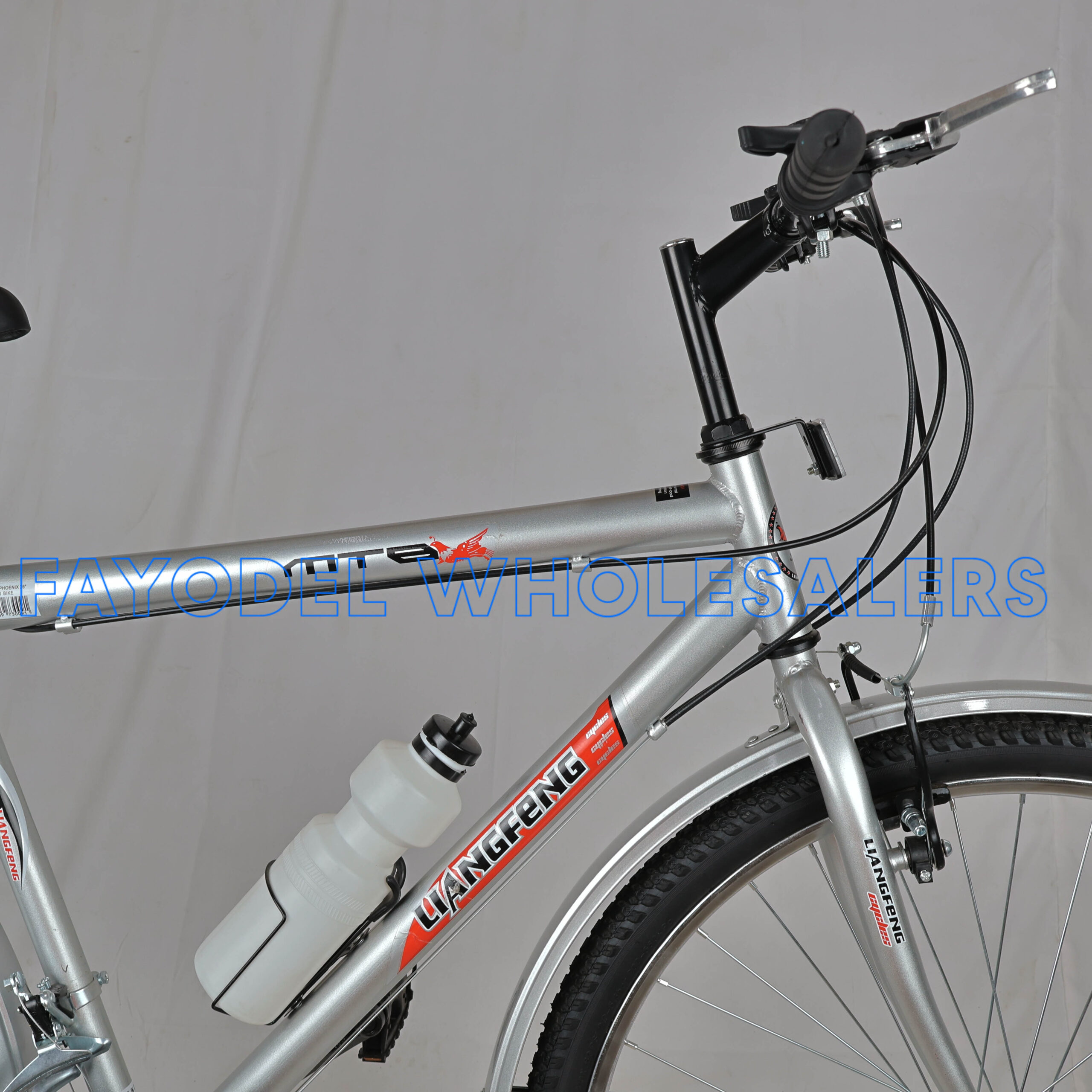 LiangfengMTB detail 1