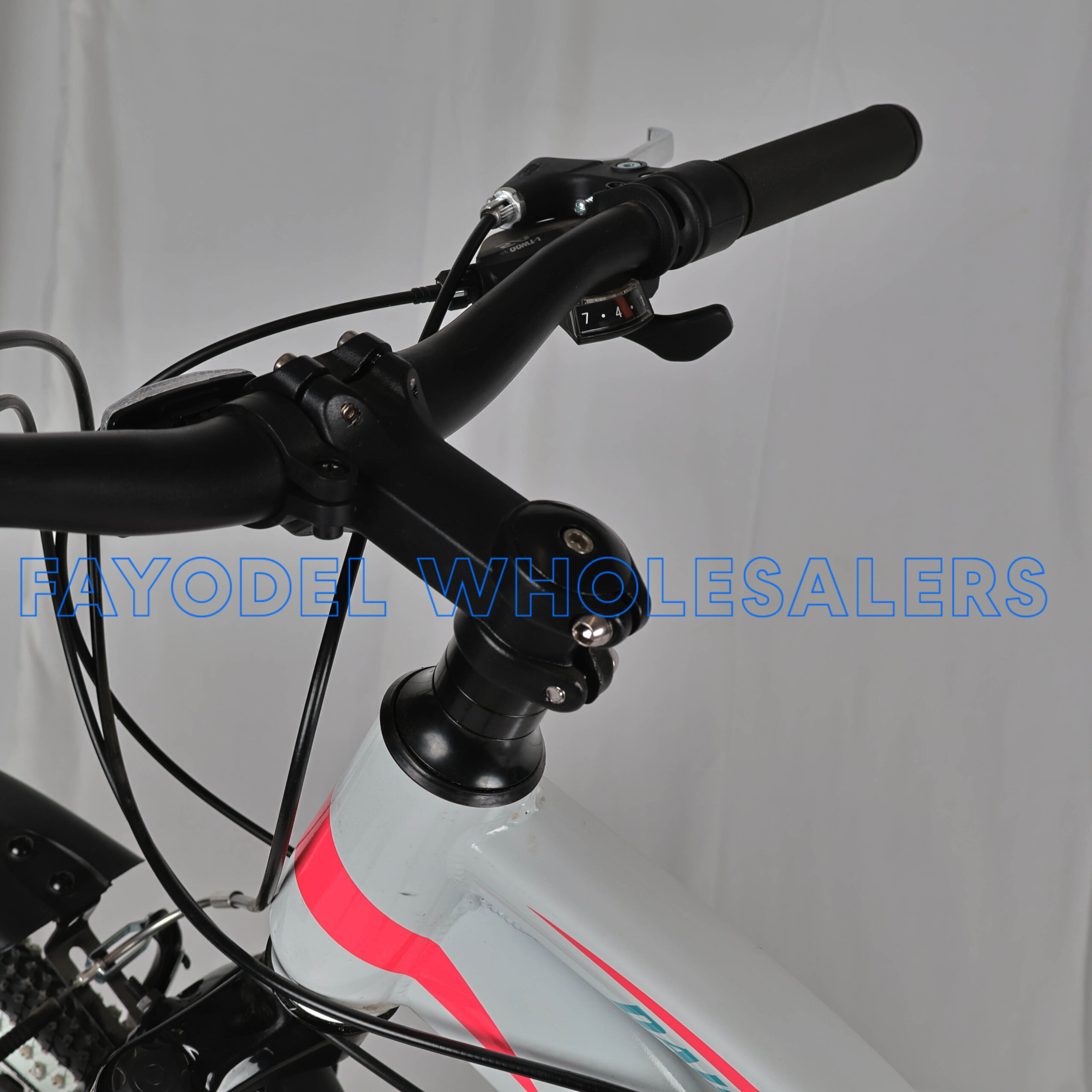 Planet Daisy detail 3