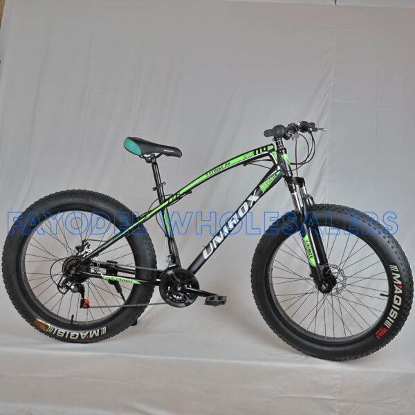 Unirox Fatbike main
