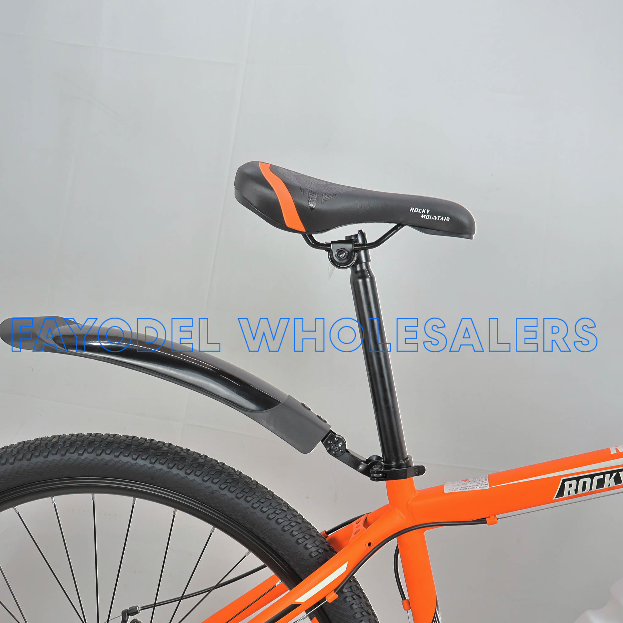 RockyMountain detail 1