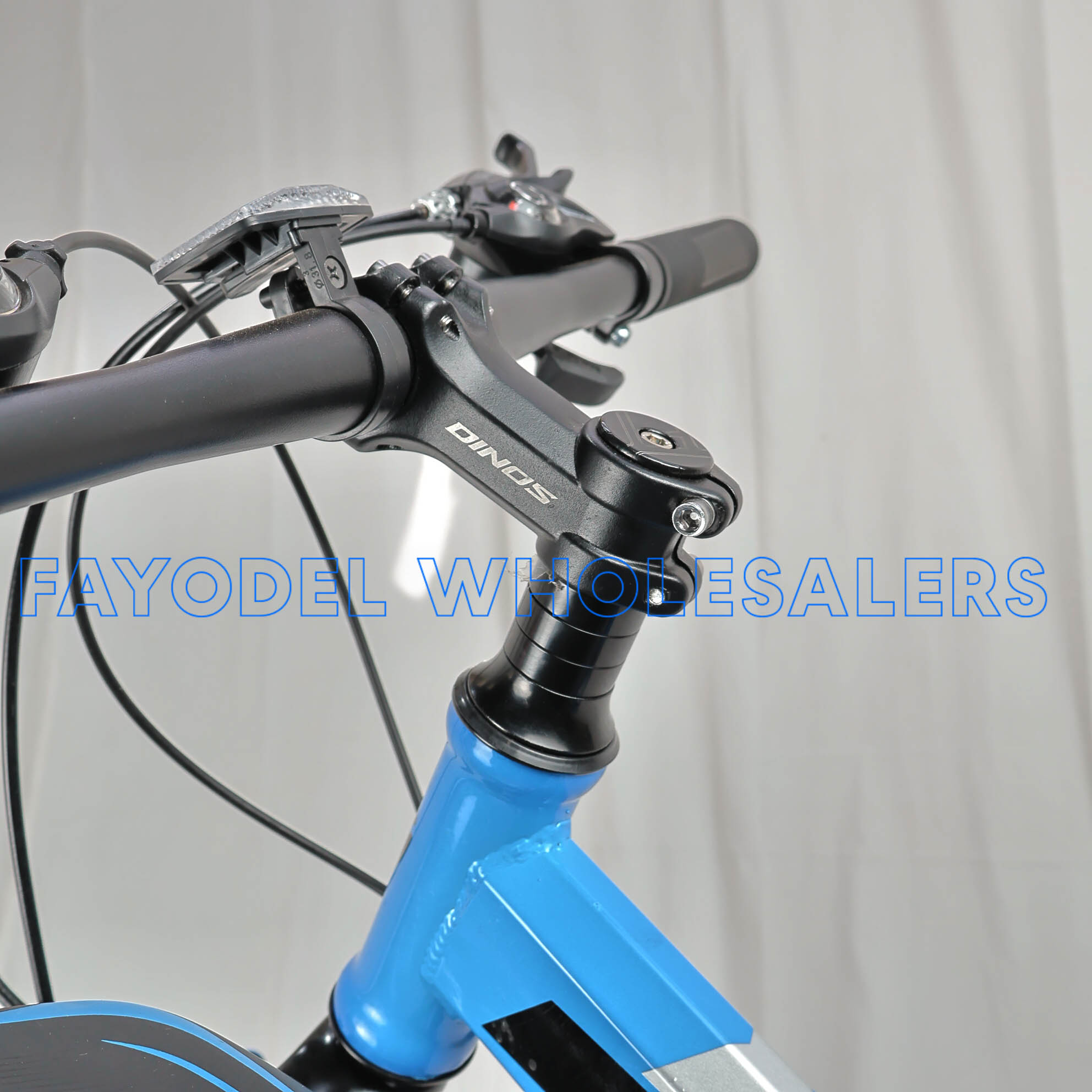 Dinos Foldable detail 3