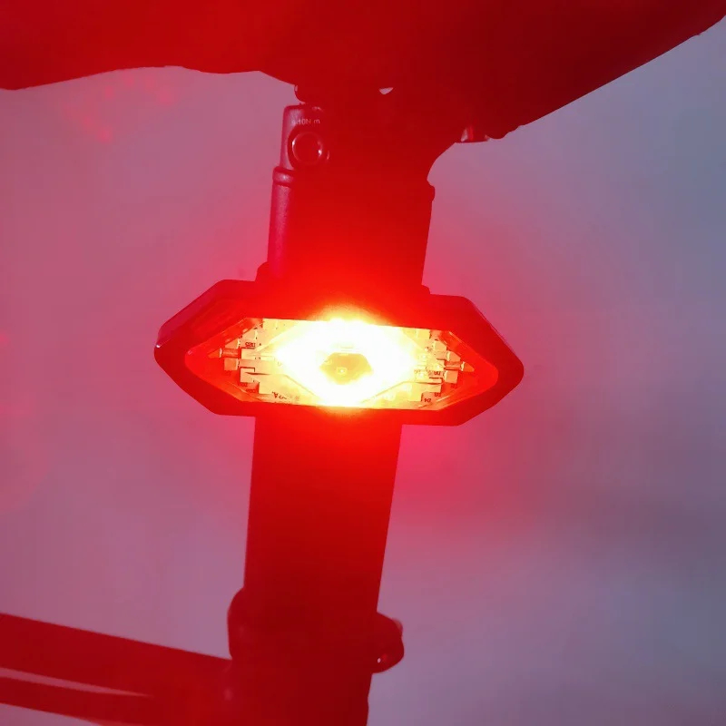 Tail Light with Wireless Remote Control detail 2