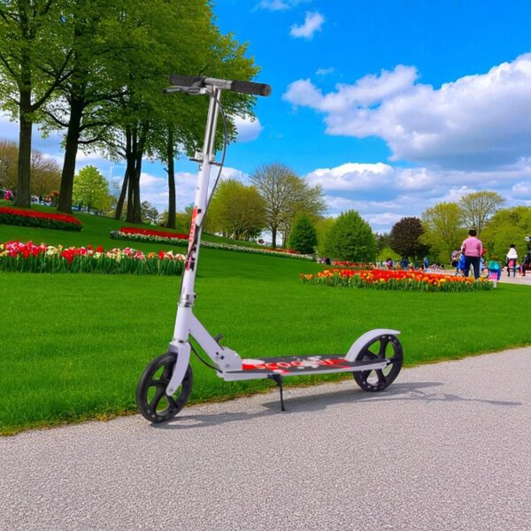 Scooter- Smooth and stylish Scooter