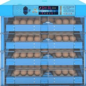 Automatic egg incubator main